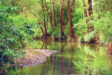 84 Kings Creek Road Krambach NSW 2429 - Image 3