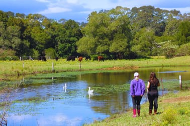 84 Kings Creek Road Krambach NSW 2429 - Image 3