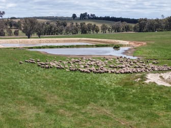 203 Simcock Road Chowerup WA 6244 - Image 1