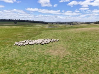 203 Simcock Road Chowerup WA 6244 - Image 2