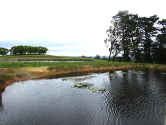 125 Sheepstation Creek Road Yellingbo VIC 3139 - Image 2