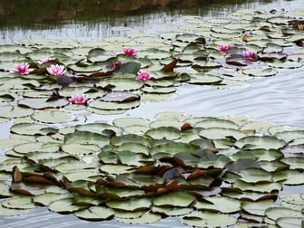 125 Sheepstation Creek Road Yellingbo VIC 3139 - Image 3