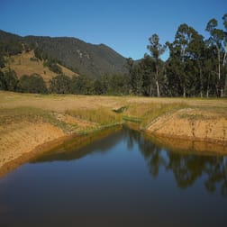 3/1076 Neringla Road Braidwood NSW 2622 - Image 2