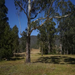 3/1076 Neringla Road Braidwood NSW 2622 - Image 3