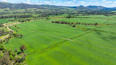 Click to view all images 1279 Edi-Cheshunt Road Whitfield VIC 3733 - Image 1