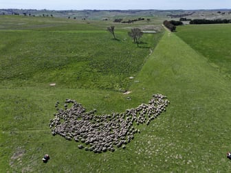 Click to view all images 175 Bolong Road Golspie NSW 2580 - Image 1