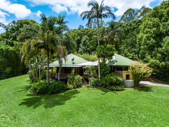 20 Lilly Pilly Road Wilsons Creek NSW 2482 - Image 1