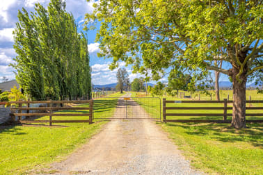 385 Moto Road Moto NSW 2426 - Image 2