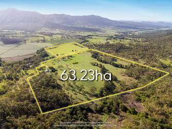221-223 Mulgowie Road Thornton QLD 4341 - Image 3