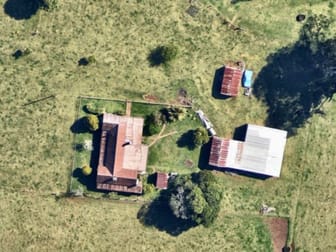 262 Snows Road North Dorrigo NSW 2453 - Image 2