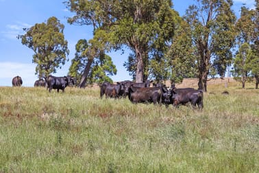 Click to view all images "Arawa" 2388 Campfire Road Walcha NSW 2354 - Image 2