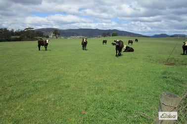 921 Melrose Road Melrose TAS 7310 - Image 1