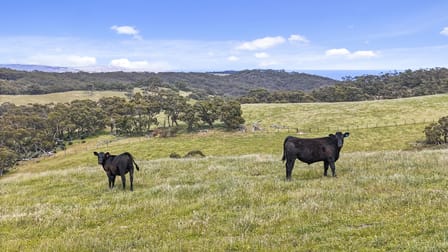 803 James Track Myponga SA 5202 - Image 3