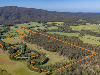 Lot 2 Gillards Road Bucca NSW 2450 - Image 3