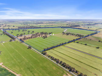 87 Yalca Church Road Yielima VIC 3638 - Image 1