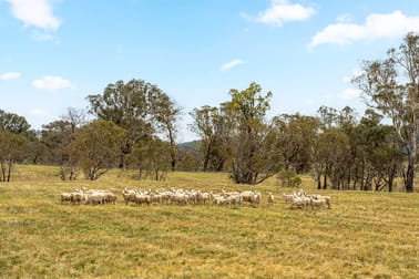 14 Avonley Road Majura ACT 2609 - Image 1