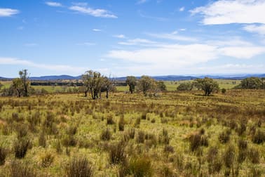 1069 Delegate Road Bombala NSW 2632 - Image 2