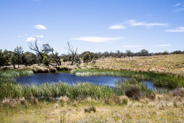 1069 Delegate Road Bombala NSW 2632 - Image 3