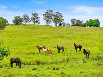 273 Roelands Drive Brombin NSW 2446 - Image 2