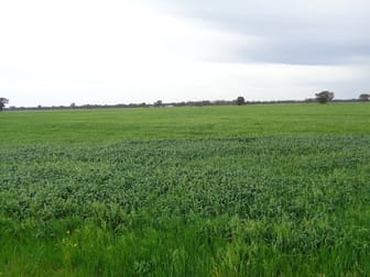 259 Geodetic Road Miepoll VIC 3666 - Image 2