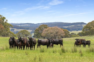 47 Old Trunk Road Bathurst NSW 2795 - Image 2