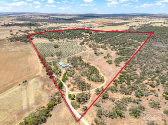775C North Bremer Road Hartley SA 5255 - Image 1