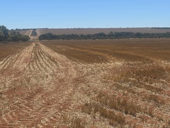 727 Tenindewa Road Tenindewa WA 6632 - Image 1