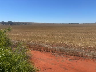 727 Tenindewa Road Tenindewa WA 6632 - Image 2