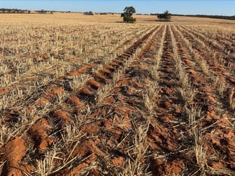 4049 Mallee Highway Manangatang VIC 3546 - Image 1