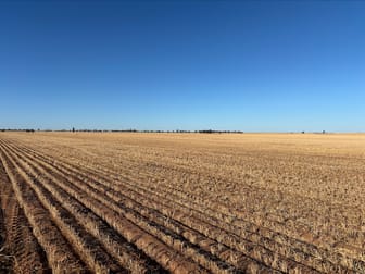 4049 Mallee Highway Manangatang VIC 3546 - Image 2