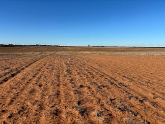 4049 Mallee Highway Manangatang VIC 3546 - Image 3