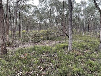 Click to view all images _ CA's 32, 33A, 34 & Lot 1 Off Gunyah Track Wellsford VIC 3551 - Image 2