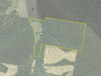 273 Burns Road Wyena TAS 7254 - Image 3