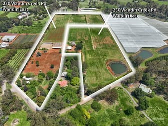 230-250 Wandin Creek Road Wandin East VIC 3139 - Image 3