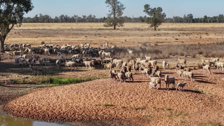 2633 Bruie Plains Road Bruie Plains NSW 2875 - Image 1