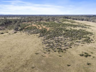 Click to view all images LOT 3 Part McDiarmids Road Violet Town VIC 3669 - Image 3