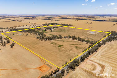 Click to view all images Ganmain NSW 2702 - Image 1