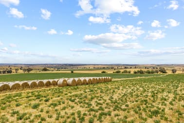 Click to view all images 215 Holman Road Murrumburrah NSW 2587 - Image 1