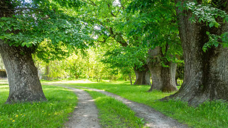 Click to view all images 672 Lima East Road Lima East VIC 3673 - Image 3