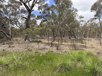 Allotment 1A Wimmera Highway St Arnaud VIC 3478 - Image 1