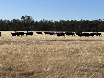 Click to view all images 119 Stevens Weir Road Deniliquin NSW 2710 - Image 2