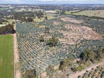 Lot 1251 Peninsula Road Bridgetown WA 6255 - Image 2