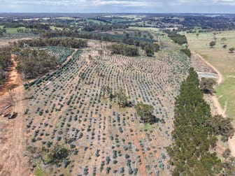 Lot 1 Peninsula Road Bridgetown WA 6255 - Image 2