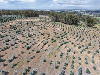 Lot 1 Peninsula Road Bridgetown WA 6255 - Image 3