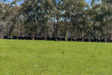 Click to view all images Lot 12 Jeffreys Lane Broadford VIC 3658 - Image 3