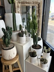 Florist / Nursery  business for sale in Croydon - Image 3