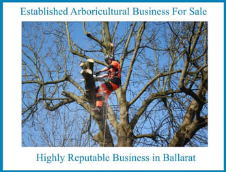 Furniture / Timber  business for sale in Soldiers Hill - Image 1