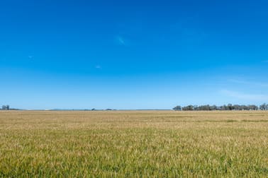 Three Mile Road Vectis VIC 3401 - Image 3