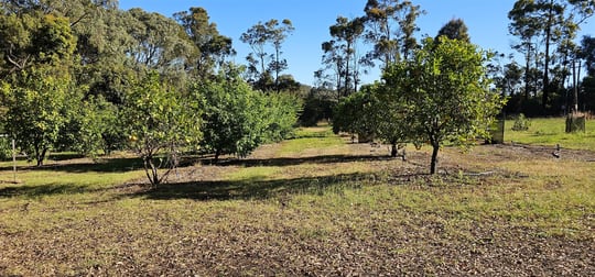 334 Springall Road Deanmill WA 6258 - Image 2