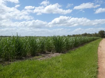 3392 Childers Road Gregory River QLD 4660 - Image 1